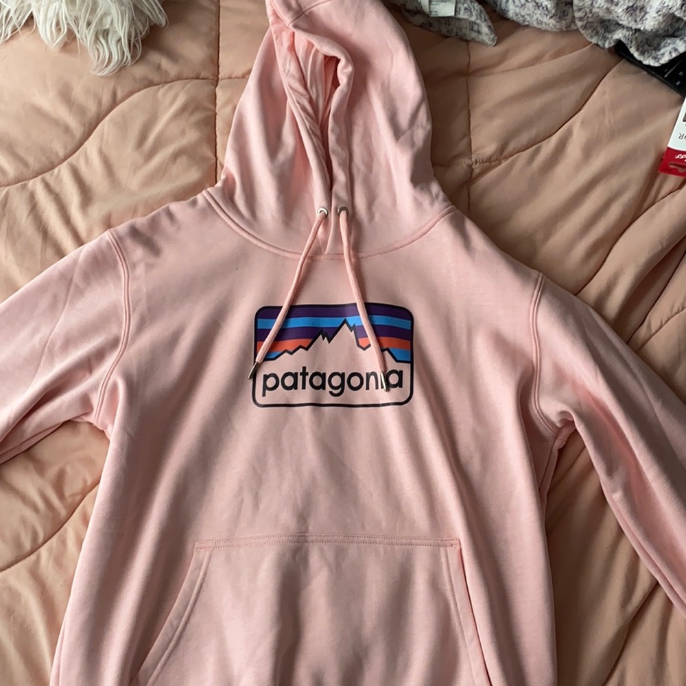 light pink patagonia hoodie